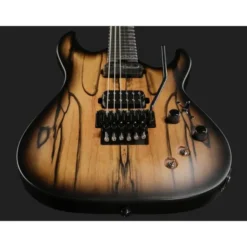 Schecter C-1 FR S Pale Moon SNBB