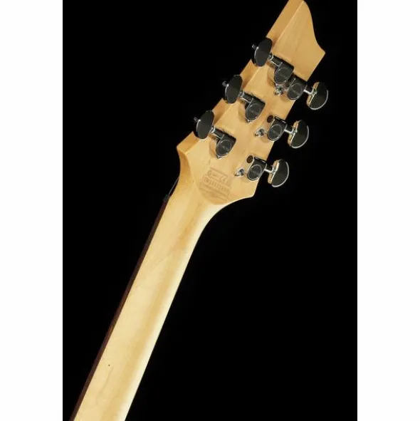Schecter C-6 Plus EM