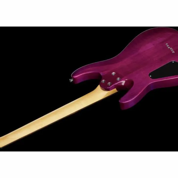 Schecter C-6 Plus EM