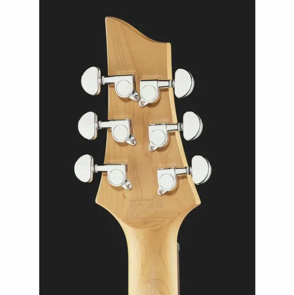 Schecter C-6 Plus EM