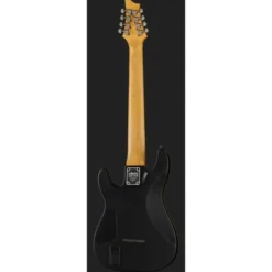 Schecter Demon-8 Aged Black Satin