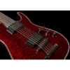 Schecter Hellraiser C-VI BCH