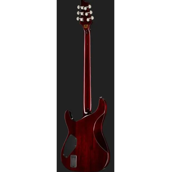 Schecter Hellraiser C-VI BCH