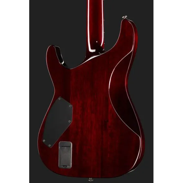 Schecter Hellraiser C-VI BCH