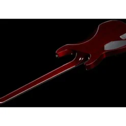 Schecter Hellraiser C-VI BCH