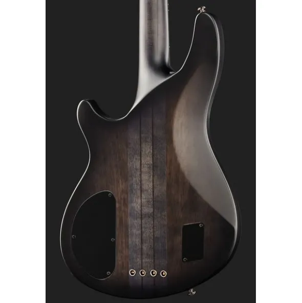 Schecter Hellraiser Extreme 4 STBLS