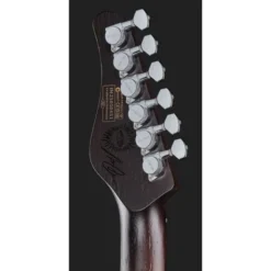 Schecter Nick Johnston 10th An HSS AS
