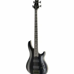 Schecter SLS Evil Twin-4 SBK