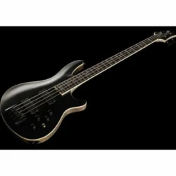 Schecter SLS Evil Twin-4 SBK