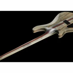 Schecter SLS Evil Twin-4 SBK