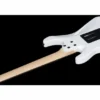 Schecter Sun Valley Super Shredder FRS