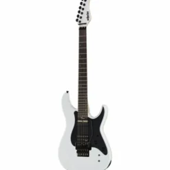 Schecter Sun Valley Super Shredder FRS