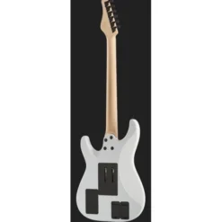 Schecter Sun Valley Super Shredder FRS