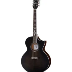Schecter Synyster Gates SYN GA SC TBBS