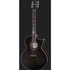 Schecter Synyster Gates SYN GA SC TBBS