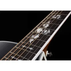 Schecter Synyster Gates SYN GA SC TBBS