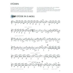 Schott Gitarre Spielen Hobby 2
