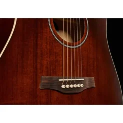 Seagull S6 Original Burnt Umber Presys
