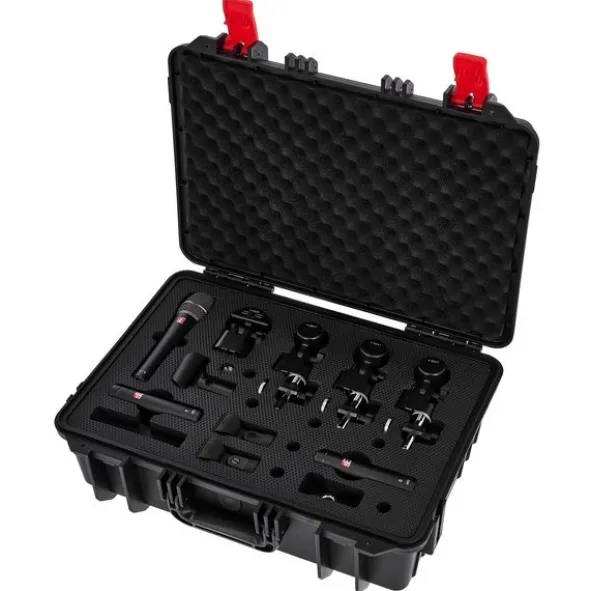SE Electronics V Pack Arena