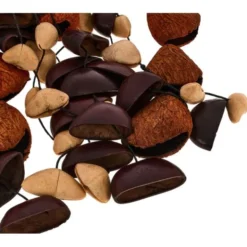 Sela Seed Shaker Mixed