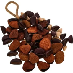 Sela Seed Shaker Mixed