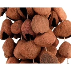 Sela Seed Shaker 6-Row Pangi
