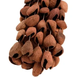 Sela Seed Shaker 6-Row Pangi