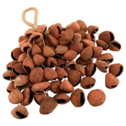 Sela Seed Shaker 6-Row Pangi