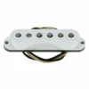 Seymour Duncan Antiquity II Neck W