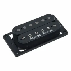 Seymour Duncan Black Winter Bridge Trem