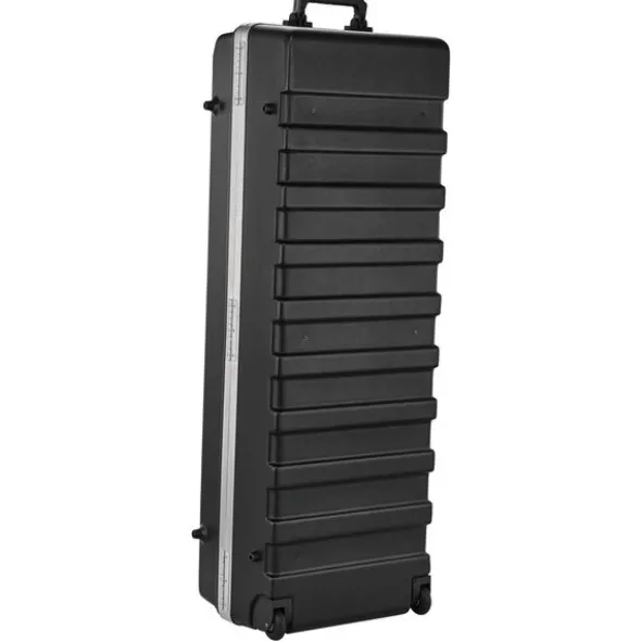 SKB vSeries 4816 1SKB-H4816W Case