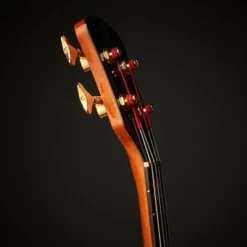 Spector Euro Artist Doug Wimbish 4 AG