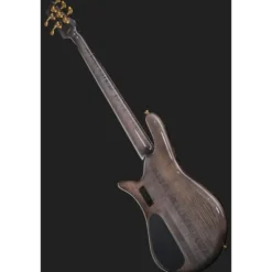Spector Euro 5 CST Natural Black Burst