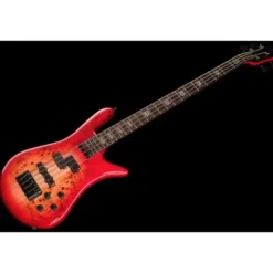 Spector Euro 4 CST Natural Red Burst