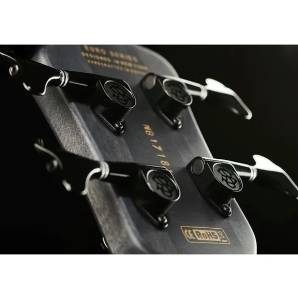 Spector Euro LX 4 BSM