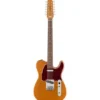 Squier Paranormal Troy V Leeuwen Tele