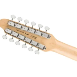 Squier Paranormal Troy V Leeuwen Tele