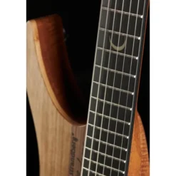 Strandberg Boden Prog NX 6 Plini Edition