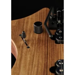 Strandberg Boden Prog NX 6 Plini Edition