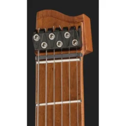 Strandberg Boden Standard N2.6 Black