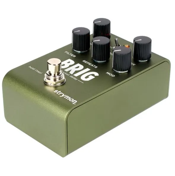 Strymon Brig Delay
