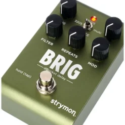 Strymon Brig Delay