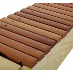 Studio 49 AX1600 Alto Xylophone DoReMi