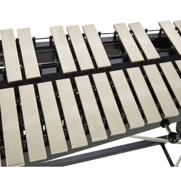 Studio 49 RGC 3030 Glockenspiel A=443 M