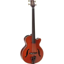 Takamine DB10 w.Case