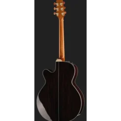 Takamine DSF48C