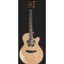 Takamine DSF48C