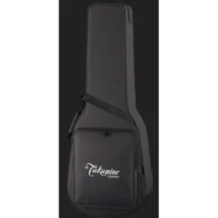 Takamine DSF48C