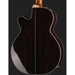 Takamine DSF48C