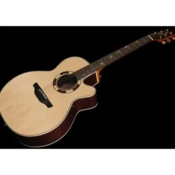 Takamine DSF48C